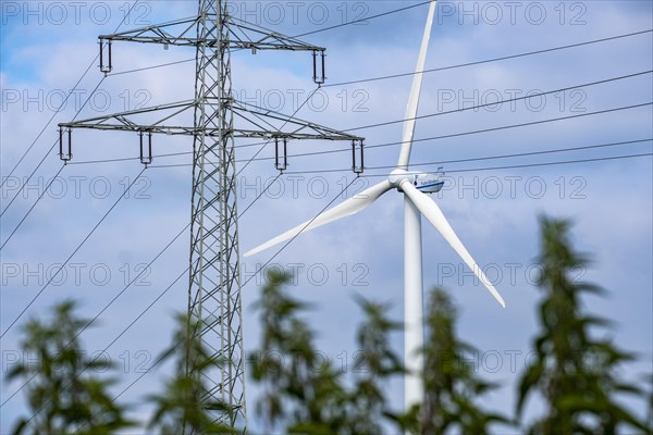 Wind turbines and power pylons at the Rundlingsdorf Gistenbeck