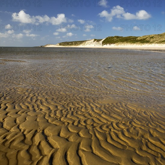 Spit with ripple pattern in yellow sand and dunes at low tide