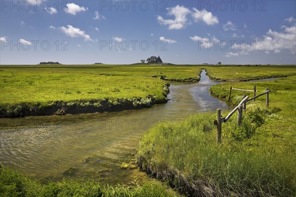 Marsh landscape with drainage ditches and terps