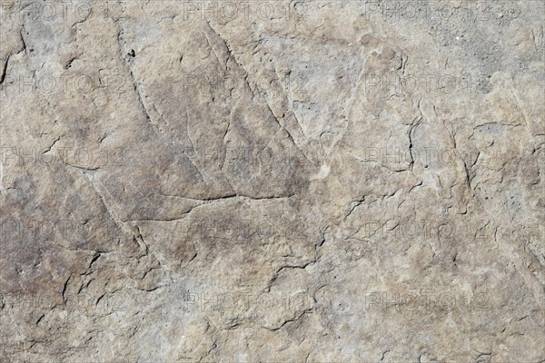 Stone pattern in a dry riverbed