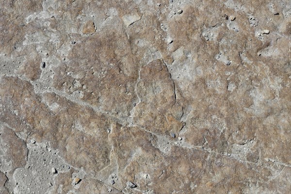 Stone pattern in a dry riverbed