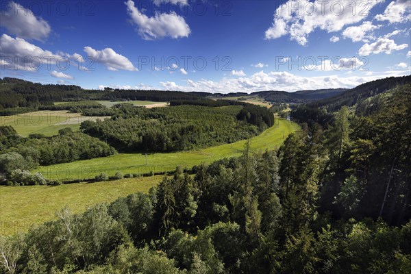 Saale valley