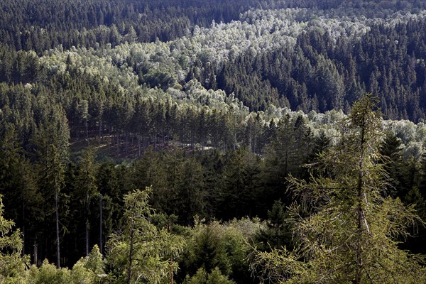 View from Thueringer Warte into the Bavarian-Thuringian border area of the former zonal border