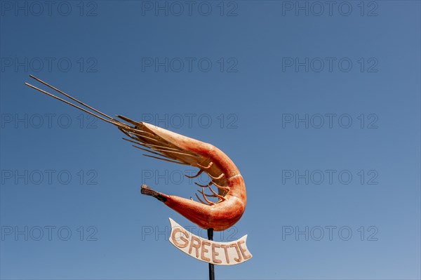 North Sea shrimp Greetje at the harbour of Greetsiel