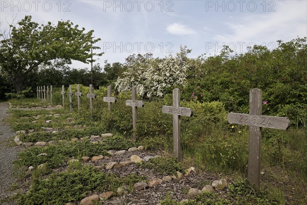 Cemetery of the homeless