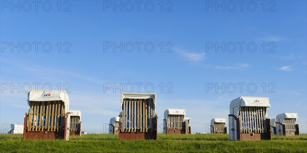 Empty beach chairs at the green beach