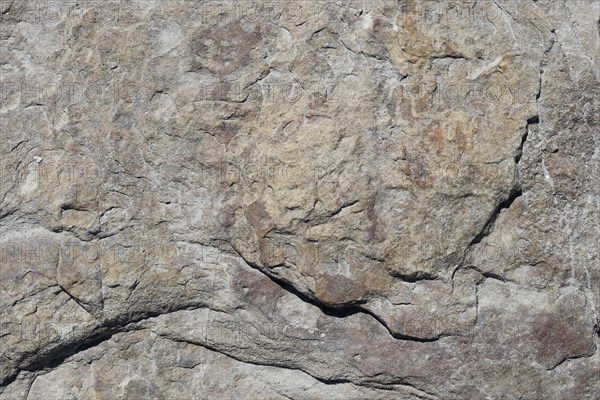 Stone pattern in a dry riverbed