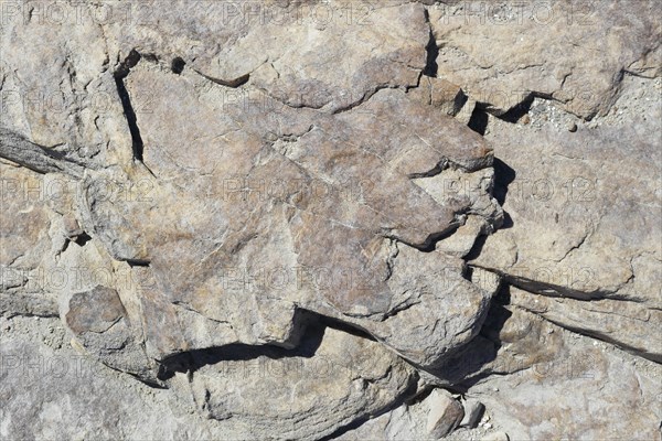 Stone pattern in a dry riverbed