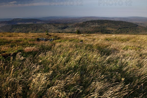 View of the Harz Mountains from the top of the Brocken