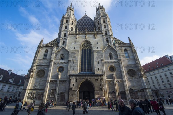 The Stephansdom in Vienna