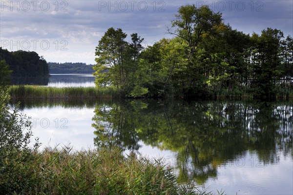 Natural landscape at the Schaalsee