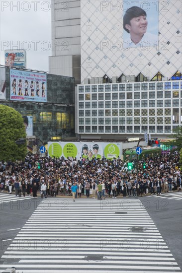 Shibuya crossing busiest road crossing in the world