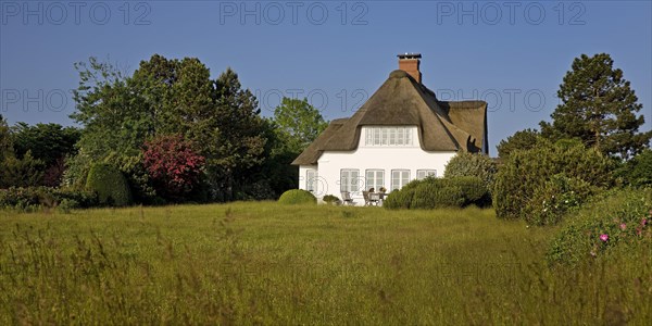 Thatched roof house