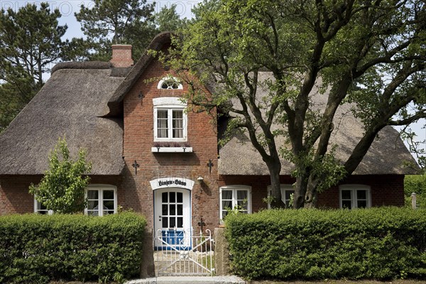 Thatched roof house