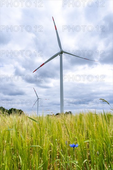 Wind turbines in Westerholz