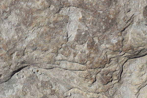 Stone pattern in a dry riverbed