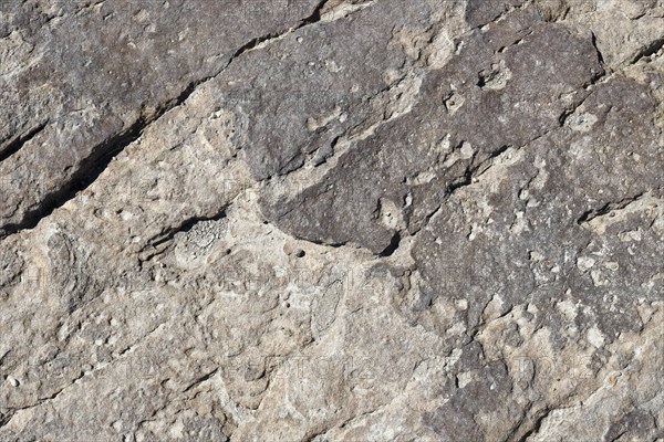 Stone pattern in a dry riverbed