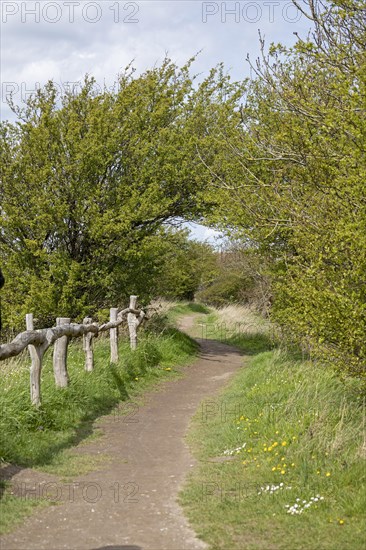 Hiking trail