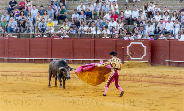 Banderillero with capa in front of bull