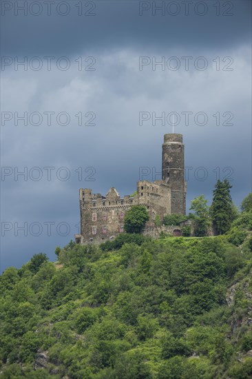 Castle Maus overlooking the Rhine river