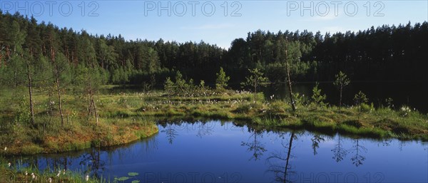 Floating island in Zakret nature reserve