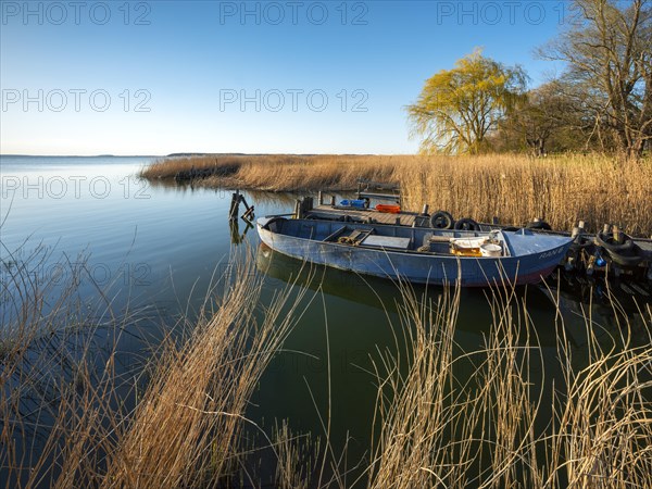 Small fishing port on the Peenestrom