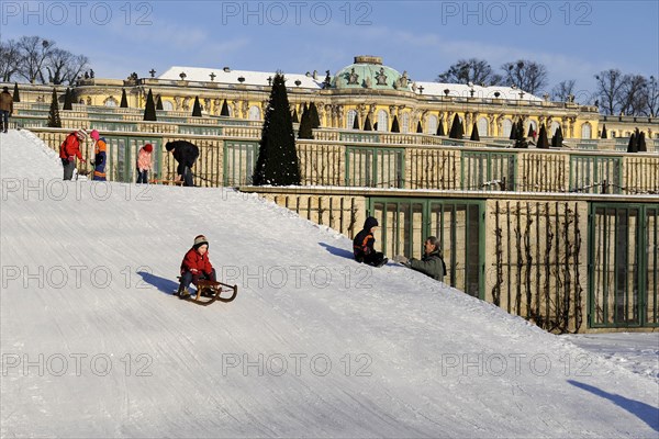 Tobogganing on the paths of the Sans Souci Palace