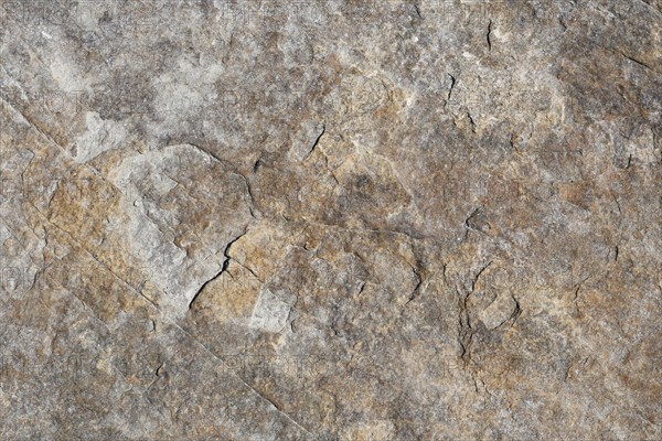 Stone pattern in a dry riverbed