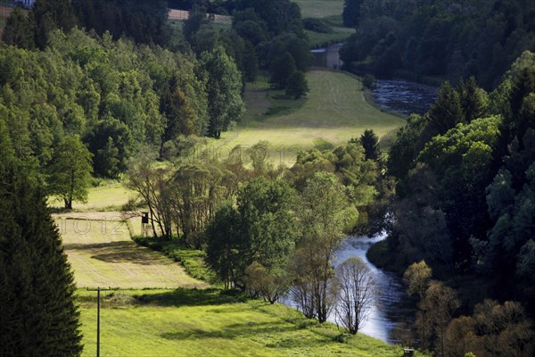 Saale valley