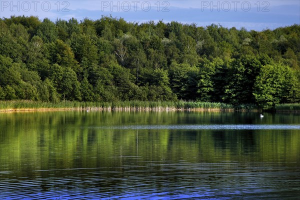 Natural landscape at the Schaalsee