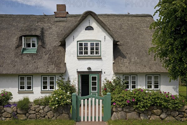 Thatched roof house