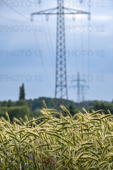 Wind turbines and power pylons at the Rundlingsdorf Gistenbeck
