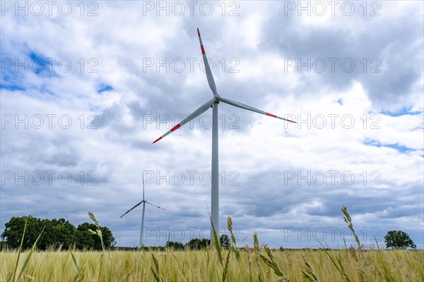 Wind turbines in Westerholz