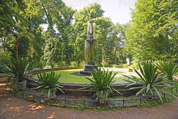 Bowl Fountain