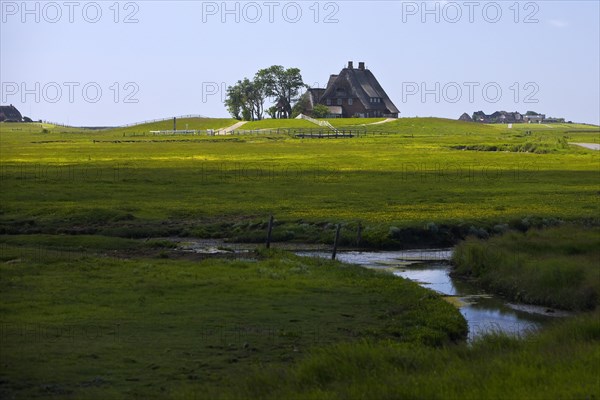 The Kirchwarft with marshland and drainage ditches