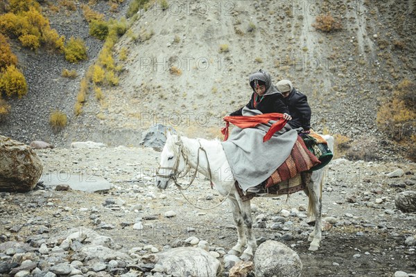 A boy with his little brother on a white horse