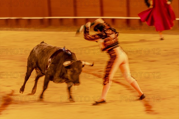 Banderillero with bull