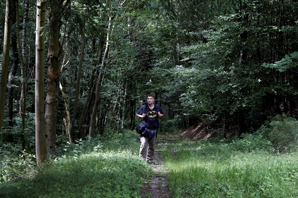 Hiker in the forest