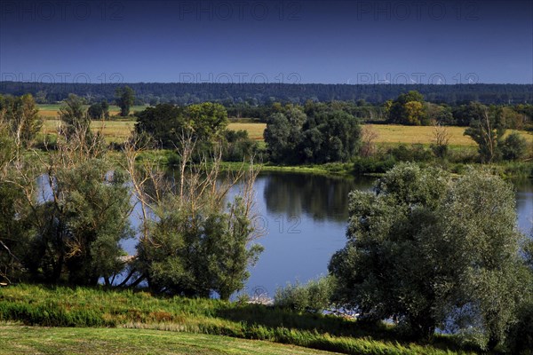 Elbe near Schnackenburg