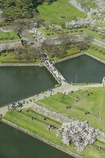 Star shaped Fort Goryokaku in the cherry blossom