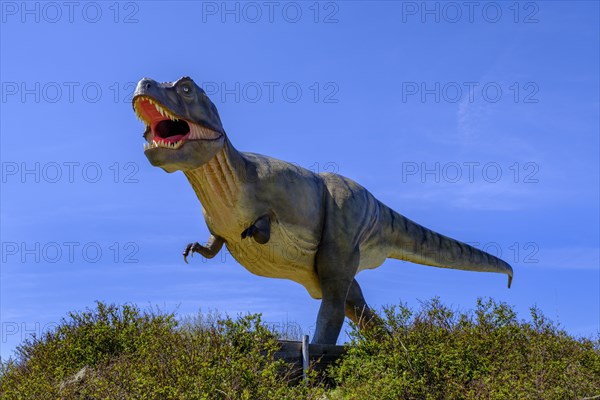 Tyrannosaurus rex