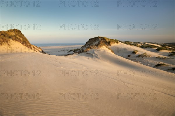 Dunes in the evening light with view of the Kniepsand and the sea