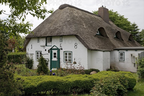 Thatched roof house