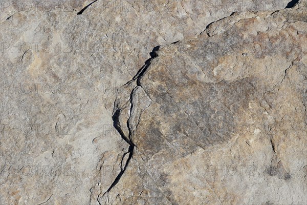 Stone pattern in a dry riverbed