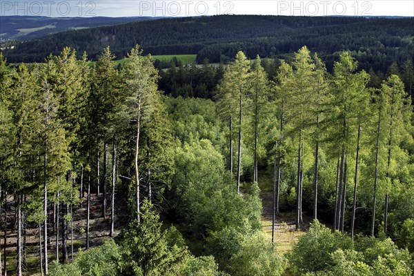 View from Thueringer Warte into the Bavarian-Thuringian border area of the former zonal border