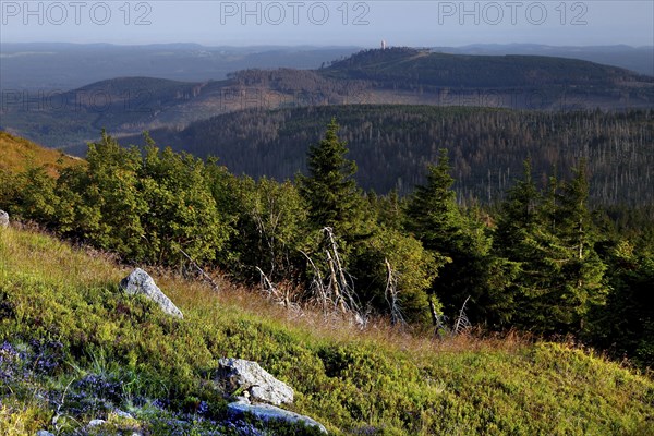 View of the Harz Mountains from the top of the Brocken