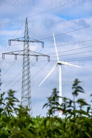 Wind turbines and power pylons at the Rundlingsdorf Gistenbeck