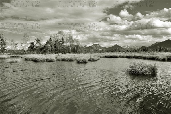 Water surface rippled by wind on pond in moor landscape