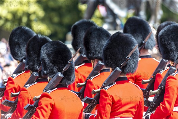 Guards of the Royal Guard with bearskin cap and weapons