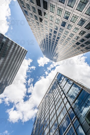 Skyscrapers in frog perspective